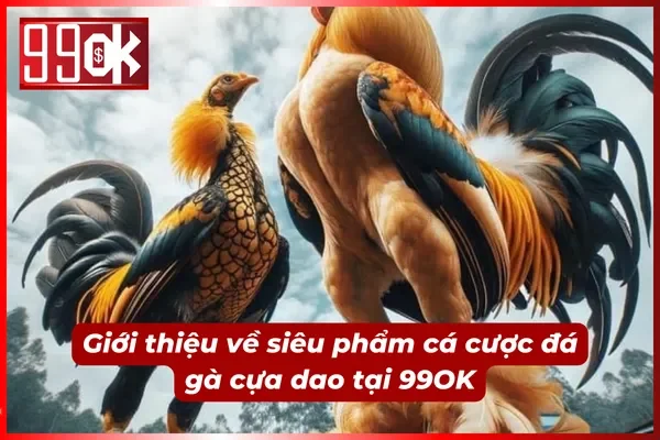 Giới thiệu về đá gà cựa dao tại 99OK