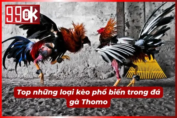 Một số loại kèo phổ biến trong bộ môn đá gà trực tuyến